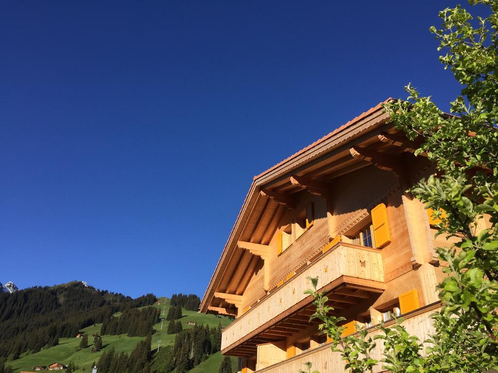 Apartment Butterfly Adelboden